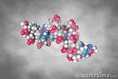 Solution-state structure of a dna dodecamer duplex containing a cis-syn thymine cyclobutane dimer. Space-filling Cartoon Illustration