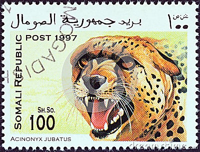 SOMALIA - CIRCA 1997: A stamp printed in Somalia shows a cheetah Acinonyx jubatus, circa 1997. Editorial Stock Photo