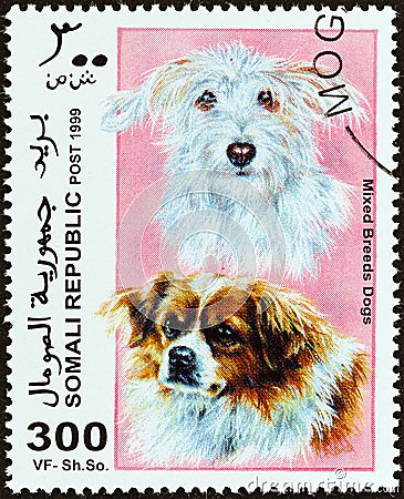SOMALIA - CIRCA 1999: A stamp printed in Somalia shows Mixed Breeds Dogs, circa 1999. Editorial Stock Photo