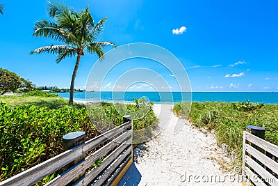 Sombrero Beach with palm trees on the Florida Keys, Marathon, Florida, USA. Tropical and paradise destination for vacation Stock Photo