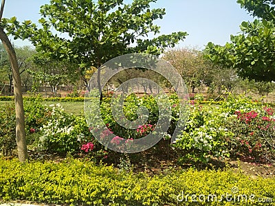 Some of the beautiful gardens around the city of Nagpur Stock Photo