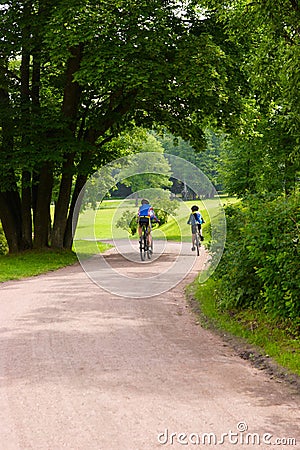 Some bicyclists on the park track Stock Photo