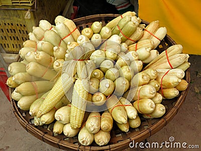 Some bundles of raw maize or corns on a basket Stock Photo