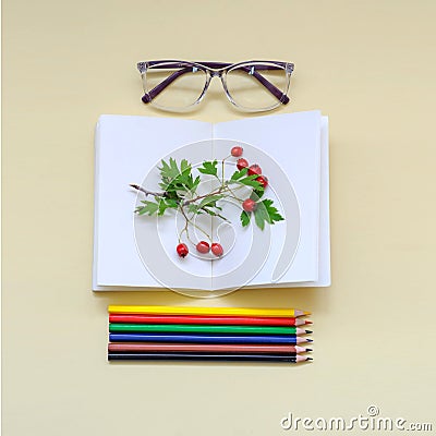 Some colored pencils with glases, a notebook and berries Stock Photo