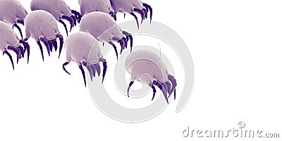 Some common dust mites Cartoon Illustration