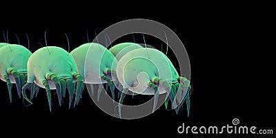 Some common dust mites Cartoon Illustration