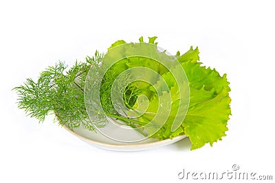 The some fresh greens Stock Photo