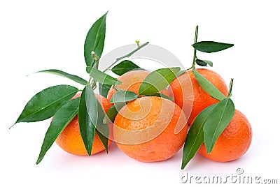 Some fresh mandarines with leaves Stock Photo