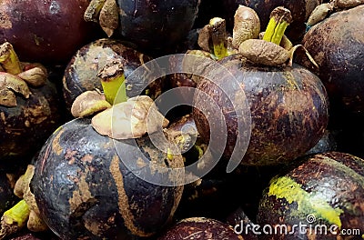 Some fresh mangosteens are ready to be sold. Stock Photo