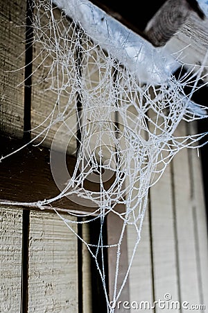 Hoary Frost on Spider Web after Frozen Fog Stock Photo