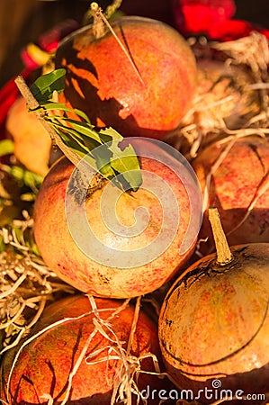 Some just matured pomegranates Stock Photo