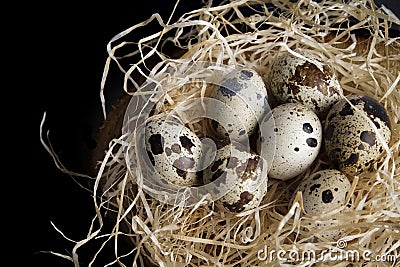 Some quail eggs in a black ceramic bowl Stock Photo