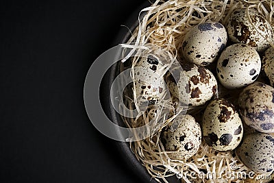 Some quail eggs in a black ceramic bowl Stock Photo