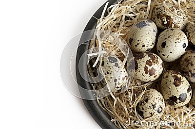 Some quail eggs in a black ceramic bowl Stock Photo