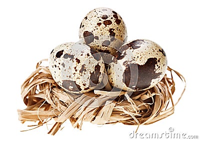 Some quail eggs in the straw nest Stock Photo