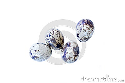 Some quail eggs top views Stock Photo