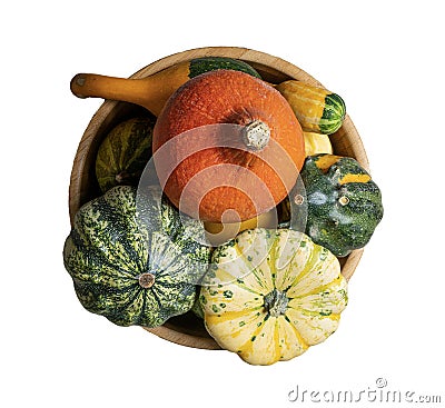 Some small pumpkins Stock Photo