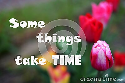 Some things take time wise phrases for every day Stock Photo