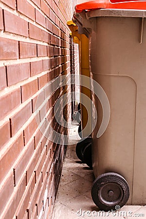 Some trash bins Stock Photo