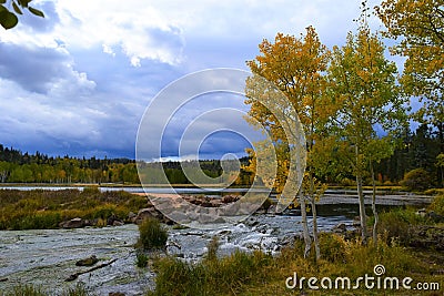 Early autumn at Duck Creek. Birch trees near a stream 2 Stock Photo