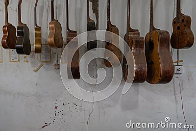 Some unfinished customed guitars and ukuleles hanging on finishing room at classical guitar workshop owned by I Wayan Tuges Editorial Stock Photo
