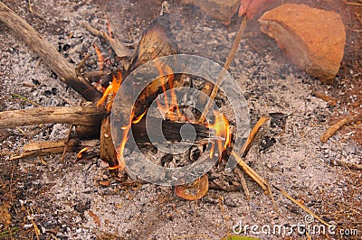 A campfire lit with firewood in the field Stock Photo