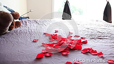 Rose Petals On The Bed Stock Video Video Of Evening