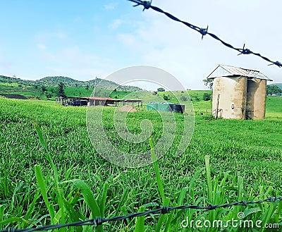 Sometimes just in life we need to appreciate whats on the other side of the fence Stock Photo