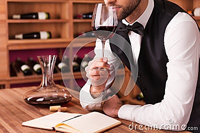 Sommelier examining wine. Stock Photo