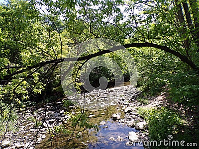 Sommer Landscape Stock Photo