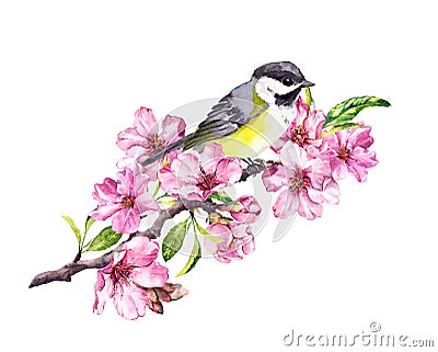 Song bird on cherry blossom branch with spring sakura flowers in springtime. Watercolor Stock Photo