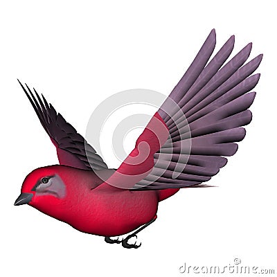 Songbird Tanager Stock Photo