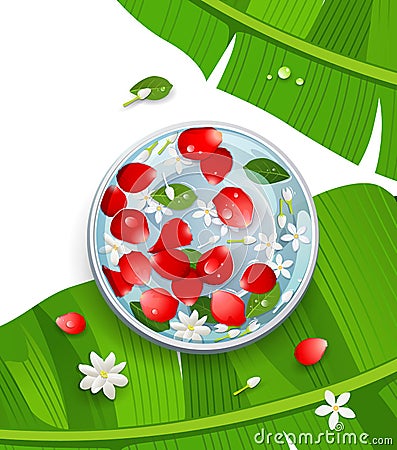 Songkran festival thailand rose petals and flower, leaf in water bowl on banana leaf Vector Illustration