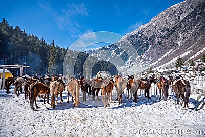 Beautiful view of sonmarg in winter, Sonmarg, Kashmir Editorial Stock Photo