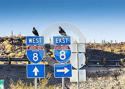 SONORA, ARIZONA: The traffic signs in Arizona-Sonora Desert Stock Photo