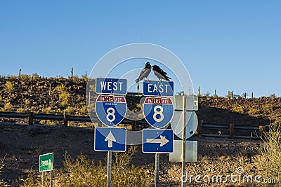 SONORA, ARIZONA: The traffic signs in Arizona-Sonora Desert Stock Photo