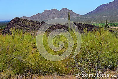 Sonora Desert Arizona Picacho Peak State Park Stock Photo