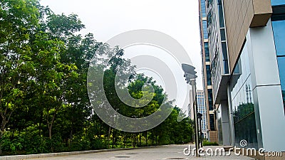 Downstairs at the corner Roadside greening Stock Photo