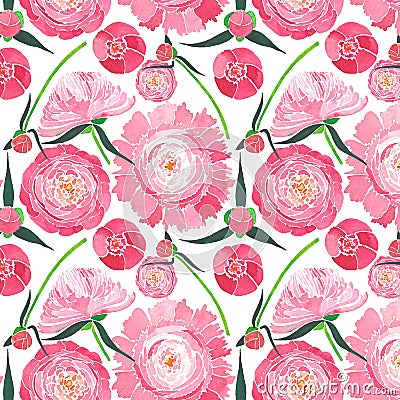 Sophisticated cute lovely tender herbal floral spring fresh beautiful composition of a pink peonies with green leaves and red buds Cartoon Illustration