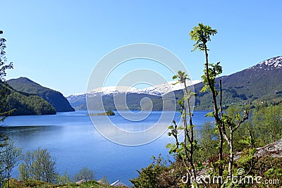 Sorfjorden, (SÃ¸rfjorden) 38 kilometer long side fjord to the Hardangerfjord in Norway Stock Photo