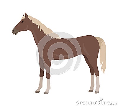 Sorrel Horse Vector Illustration in Flat Design Vector Illustration