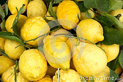 Sorrento lemons on the market Stock Photo