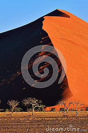 Sossusvlei, Namib Naukluft National Park, Namibia Stock Photo