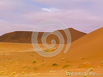 Sossusvlei sand dunes Stock Photo