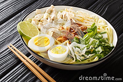 Soto Ayam is a classic chicken soup from Indonesia but also popular in Singapore and Malaysia close up in the plate. Horizontal Stock Photo