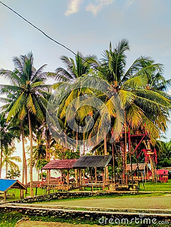 Sou-sou and coconut tree Stock Photo