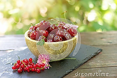 Sour cherries in bowl, fresh organic cherry in healthy eating Stock Photo