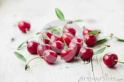 Sour Cherry Stock Photo