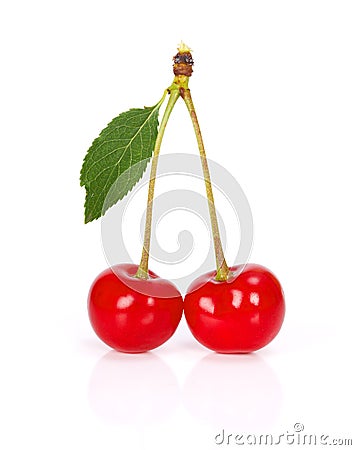 Sour cherry Stock Photo