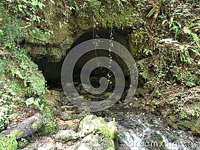 The source of the Jankovacki creek in a Park forest Jankovac or Izvor Jankovackog potoka u Park sumi Jankovac Stock Photo